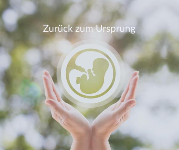Live-Webinar: Zurück zum Ursprung